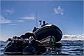 Wreckspeditions Dive Charters Ltd