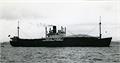 Assimina SS [+1969]