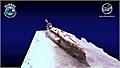 Stubborn HMS (P238) [+1946] movie